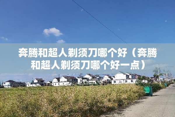 奔腾和超人剃须刀哪个好（奔腾和超人剃须刀哪个好一点）