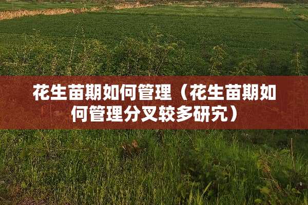 花生苗期如何管理（花生苗期如何管理分叉较多研宄）