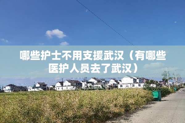 哪些护士不用支援武汉（有哪些医护人员去了武汉）