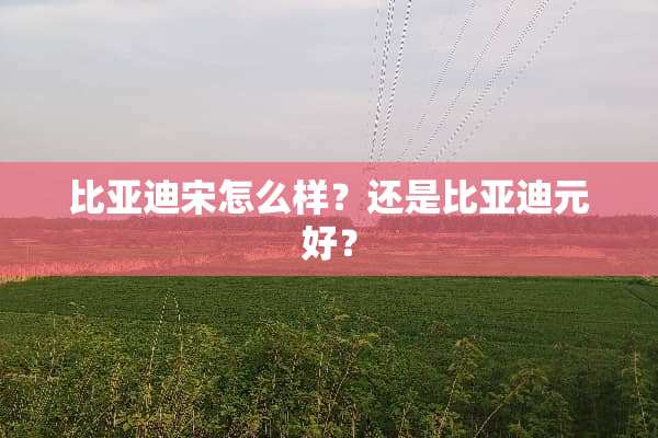 比亚迪宋怎么样？还是比亚迪元好？