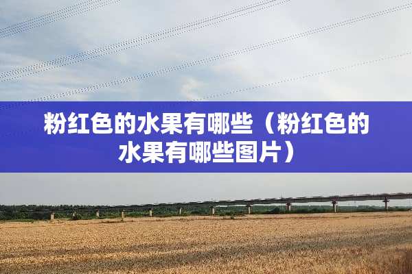 粉红色的水果有哪些（粉红色的水果有哪些图片）