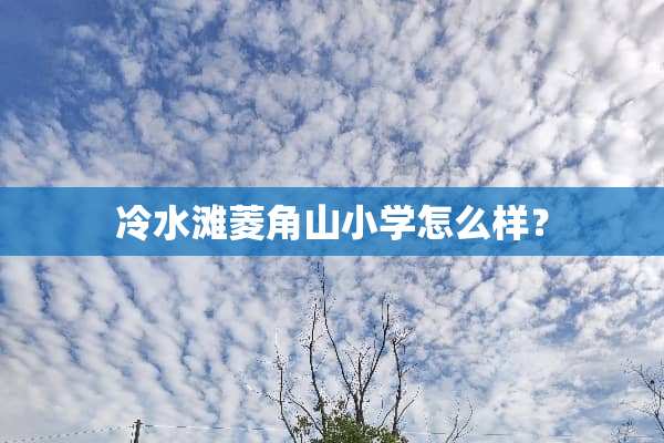 冷水滩菱角山小学怎么样？