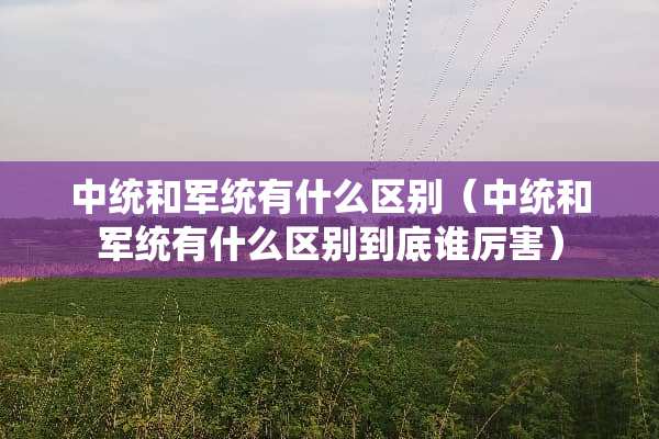 中统和军统有什么区别（中统和军统有什么区别到底谁厉害）