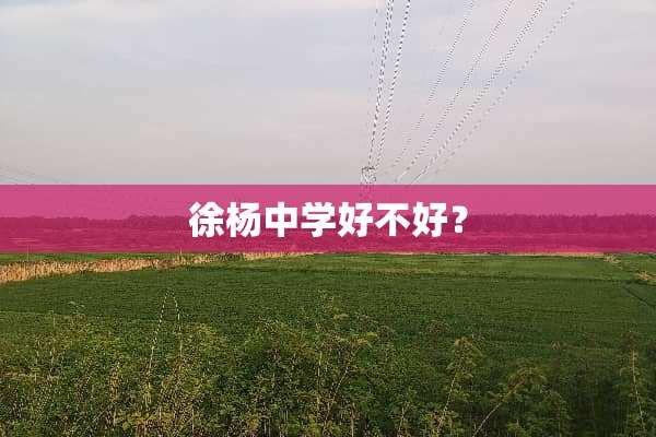 徐杨中学好不好？