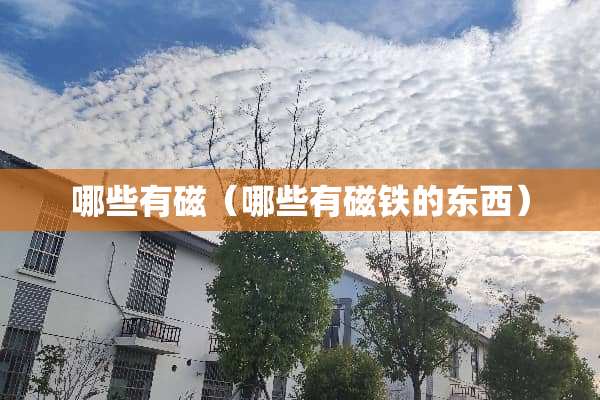 哪些有磁（哪些有磁铁的东西）