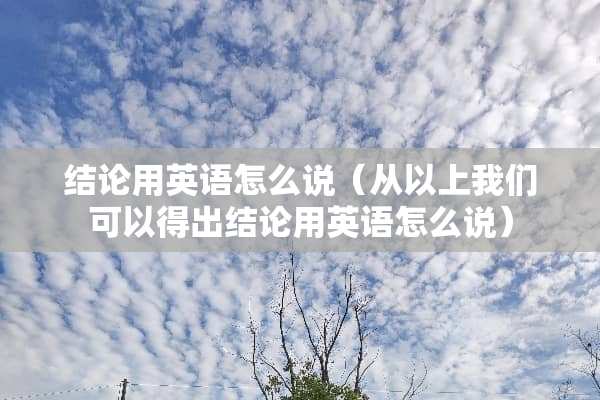 结论用英语怎么说（从以上我们可以得出结论用英语怎么说）