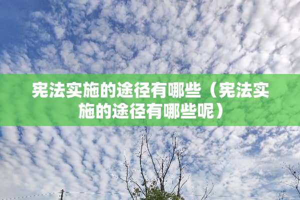 宪法实施的途径有哪些（宪法实施的途径有哪些呢）
