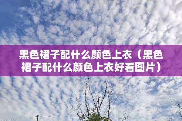 黑色裙子配什么颜色上衣（黑色裙子配什么颜色上衣好看图片）