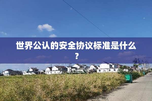 世界公认的安全协议标准是什么？