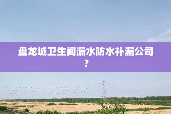 盘龙城卫生间漏水防水补漏公司？
