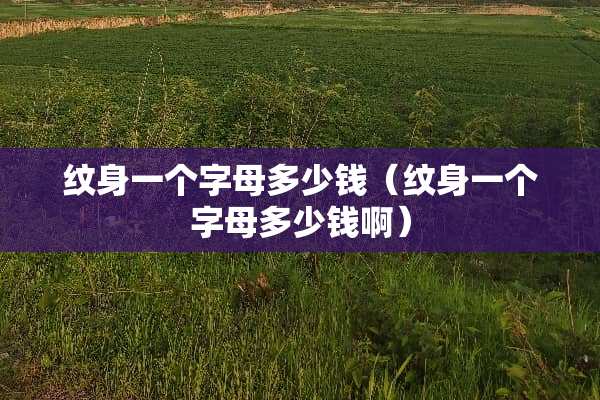 纹身一个字母多少钱（纹身一个字母多少钱啊）