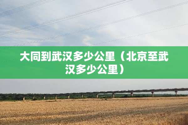 大同到武汉多少公里（北京至武汉多少公里）