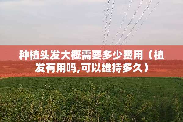 种植头发大概需要多少费用（植发有用吗,可以维持多久）