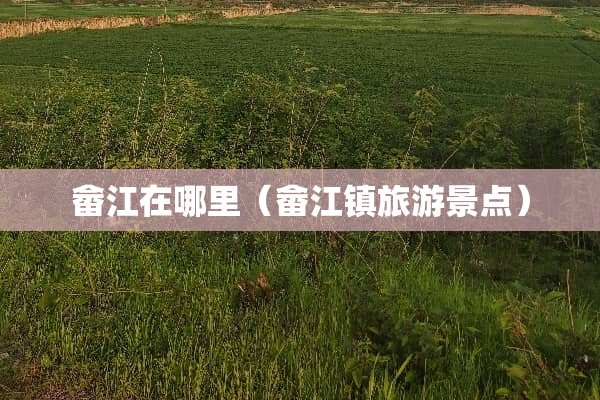 畲江在哪里（畲江镇旅游景点）