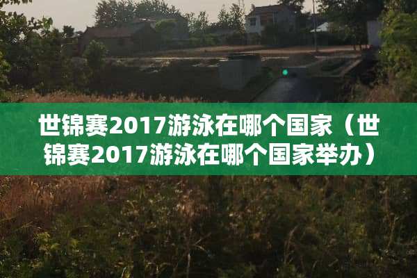 世锦赛2017游泳在哪个国家（世锦赛2017游泳在哪个国家举办）
