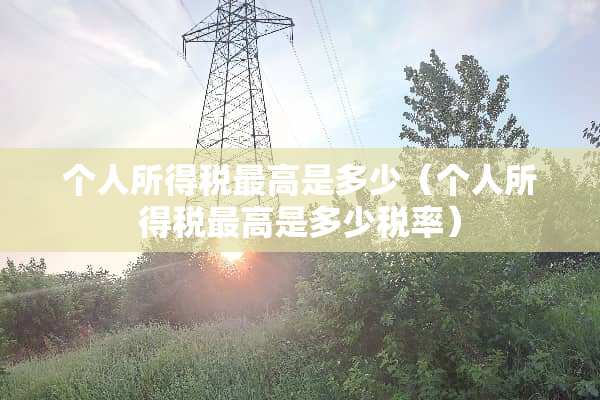 个人所得税最高是多少（个人所得税最高是多少税率）