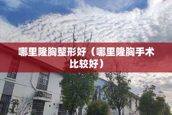 哪里隆胸整形好（哪里隆胸手术比较好）