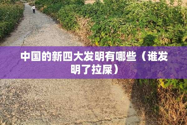 中国的新四大发明有哪些（谁发明了拉屎）