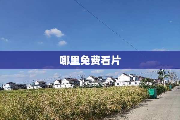 哪里免费看片
