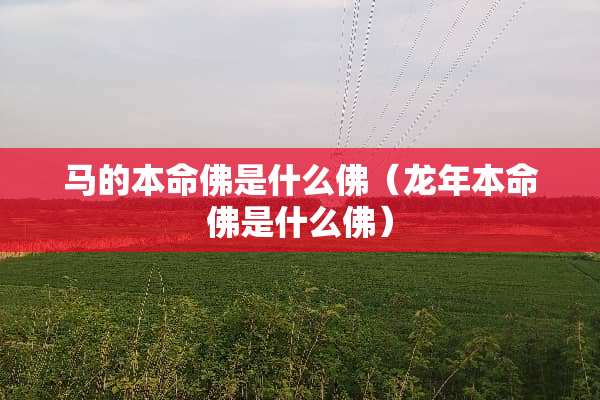 马的本命佛是什么佛（龙年本命佛是什么佛）