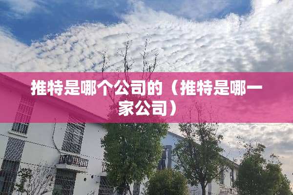 推特是哪个公司的（推特是哪一家公司）
