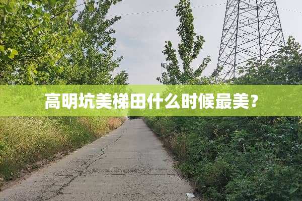 高明坑美梯田什么时候最美？