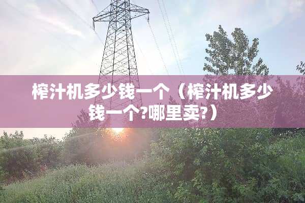 榨汁机多少钱一个（榨汁机多少钱一个?哪里卖?）