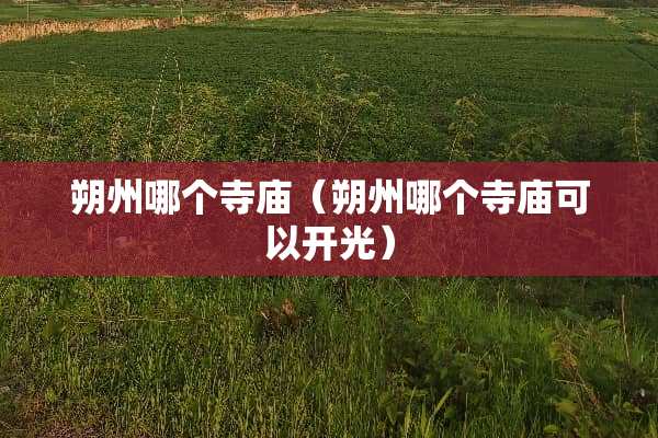 朔州哪个寺庙（朔州哪个寺庙可以开光）