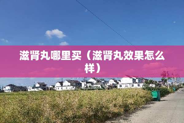 滋肾丸哪里买（滋肾丸效果怎么样）