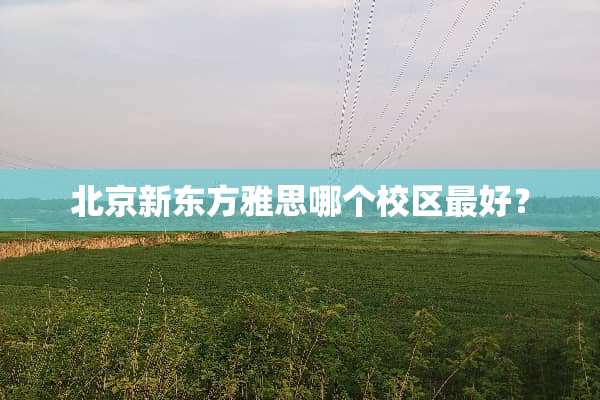 北京新东方雅思哪个校区最好？