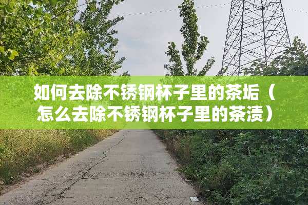 如何去除不锈钢杯子里的茶垢（怎么去除不锈钢杯子里的茶渍）