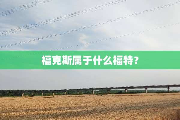 福克斯属于什么福特？