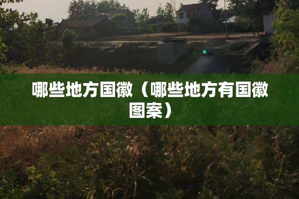 哪些地方国徽（哪些地方有国徽图案）