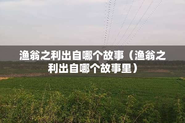 渔翁之利出自哪个故事（渔翁之利出自哪个故事里）