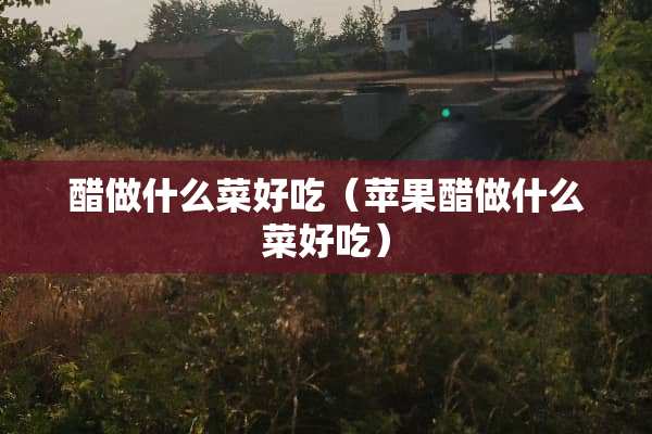 醋做什么菜好吃（苹果醋做什么菜好吃）