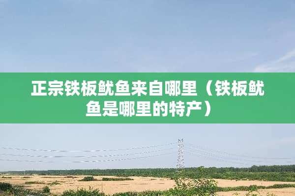 正宗铁板鱿鱼来自哪里（铁板鱿鱼是哪里的特产）