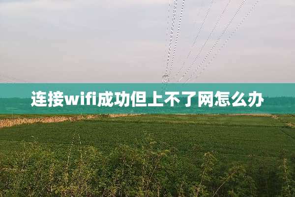 连接wifi成功但上不了网怎么办