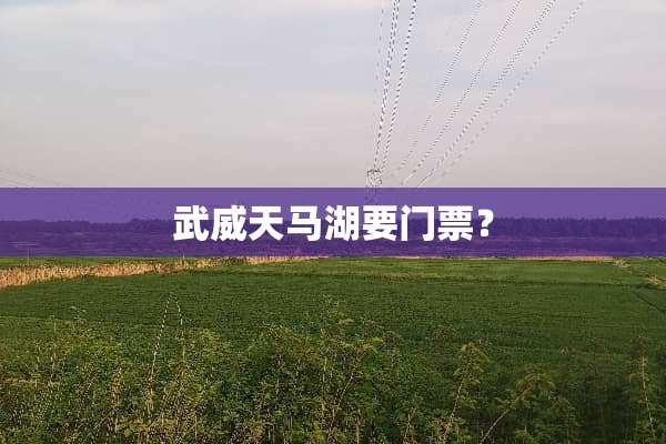 武威天马湖要门票？