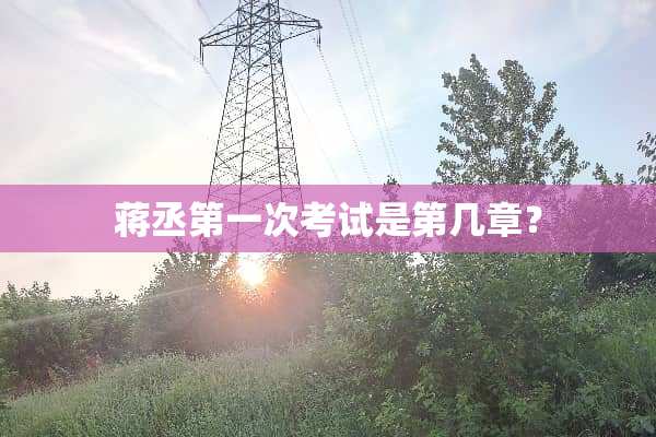 蒋丞第一次考试是第几章？