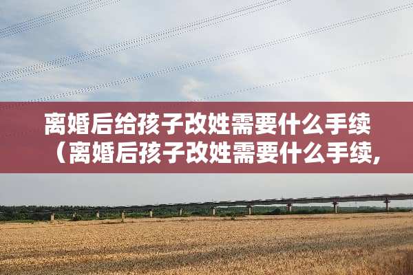 **后给孩子改姓需要什么手续（**后孩子改姓需要什么手续,异地）
