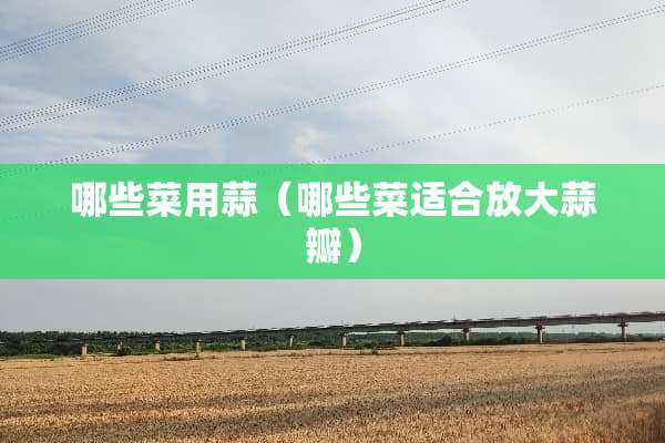 哪些菜用蒜（哪些菜适合放大蒜瓣）