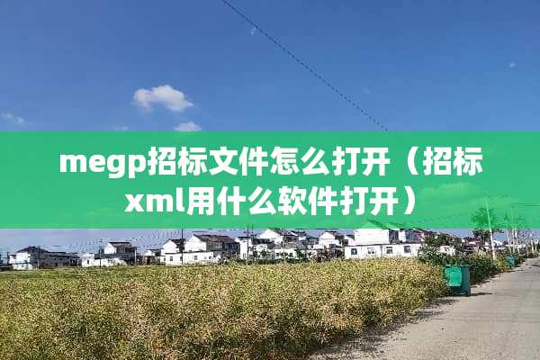 megp招标文件怎么打开（招标xml用什么软件打开）