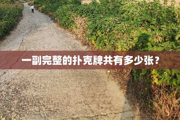 一副完整的**牌共有多少张？