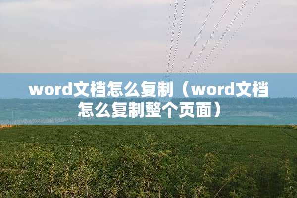 word文档怎么复制（word文档怎么复制整个页面）