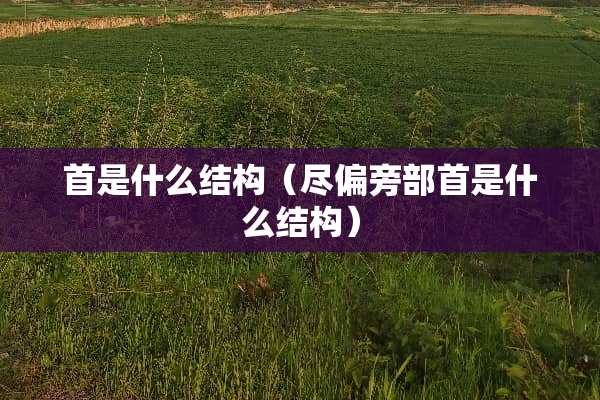 首是什么结构（尽偏旁部首是什么结构）