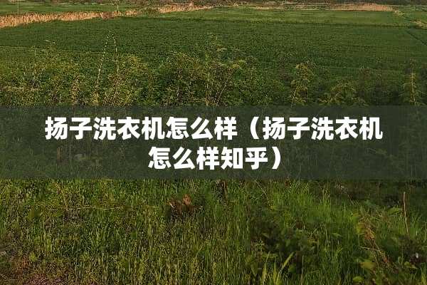 扬子洗衣机怎么样（扬子洗衣机怎么样知乎）