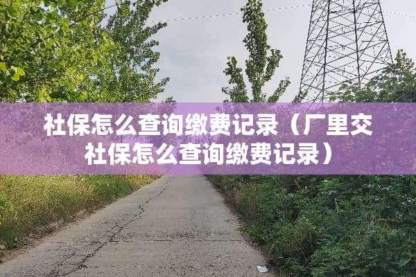 社保怎么查询缴费记录（厂里交社保怎么查询缴费记录）