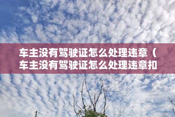 车主没有***怎么处理违章（车主没有***怎么处理违章扣分罚款）