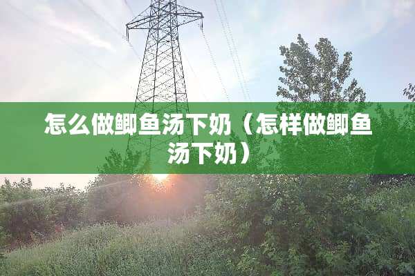 怎么做鲫鱼汤下奶（怎样做鲫鱼汤下奶）
