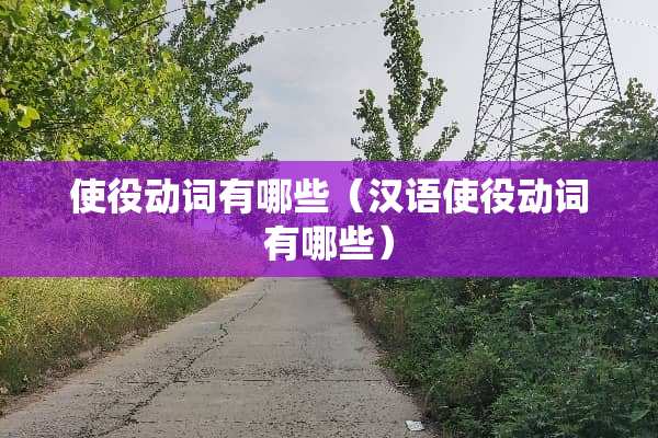 使役动词有哪些（汉语使役动词有哪些）